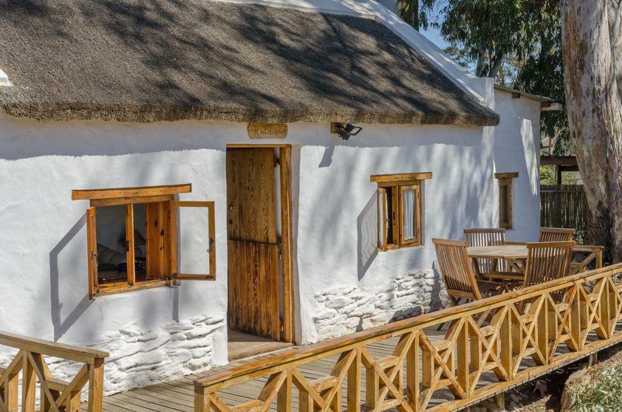 Ferienwohnung Rietdakkie McGregor Exterior foto